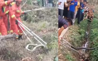 海南一村民被毒蛇咬死 消防与村民合力制服蛇！