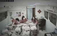 台湾护理师地震时用身体保护新生儿，感动万千网友