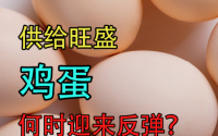 鸡蛋市场低迷：清明节前供需失衡