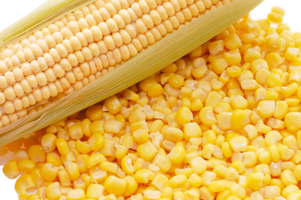 乌克兰粮食发运存改进预期 玉米后市料震动为主