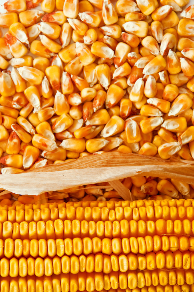 商场失望预期添加 玉米期价连续震动体现