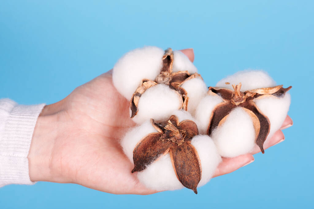 全球棉花需求估计难有起色 郑棉回落后或保持震动