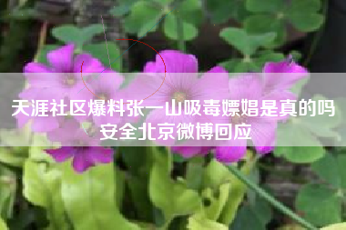天涯社区爆料张一山吸毒嫖娼是真的吗 安全北京微博回应