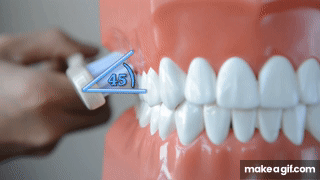 刷牙最该刷的其实不是牙齿 刷牙重点是刷牙齿与牙龈交接处？