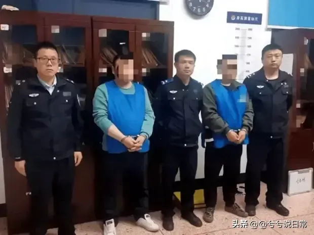 湖南衡阳衡南县700余只土鸡被盗案件侦破