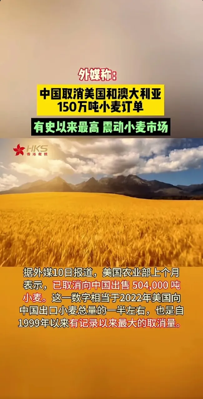 中国买家取消美澳小麦订单，释放何种信号？